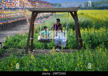 230719 -- ZHAOSU, le 19 juillet 2023 -- des enfants s'amusent dans un champ de fleurs de cole dans le comté de Zhaosu, préfecture autonome Kazak d'Ili, région autonome ouïgour du Xinjiang du nord-ouest de la Chine, le 17 juillet 2023. Avec des ressources touristiques abondantes, le comté de Zhaosu est entré dans la saison touristique de pointe en été. CHINE-XINJIANG-ZHAOSU-SUMMER-TOURISME CN ZHAOXGE PUBLICATIONXNOTXINXCHN Banque D'Images