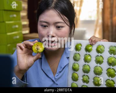 230719 -- CHONGQING, le 19 juillet 2023 -- Liu Jialing vend des prunes croustillantes par le biais d'un livestreaming au village de Ganyuan, dans le comté de Wushan, au sud-ouest de la Chine, Chongqing, le 30 juin 2023. Connue pour sa chair croustillante, juteuse et tendre, la prune croustillante est l'un des principaux fruits cultivés dans le comté de Wushan, jouant un rôle essentiel dans la revitalisation rurale. L'amélioration de la logistique et du service de livraison ont contribué aux ventes de fruits délicats à travers le pays. CHINE-CHONGQING-PRUNE CROUSTILLANTE CN ChuxJiayin PUBLICATIONxNOTxINxCHN Banque D'Images