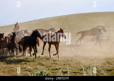 230719 -- ZHAOSU, le 19 juillet 2023 -- des éleveurs se rassemblent dans une prairie du comté de Zhaosu, préfecture autonome kazakhe d'Ili, région autonome ouïgoure du Xinjiang, au nord-ouest de la Chine, le 16 juillet 2023. Avec des ressources touristiques abondantes, le comté de Zhaosu est entré dans la saison touristique de pointe en été. CHINE-XINJIANG-ZHAOSU-SUMMER-TOURISME CN HAOXZHAO PUBLICATIONXNOTXINXCHN Banque D'Images