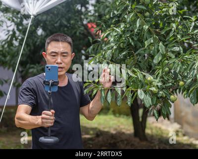 230719 -- CHONGQING, le 19 juillet 2023 -- Un homme vend des prunes croustillantes en direct au village de Ganyuan, dans le comté de Wushan, au sud-ouest de la Chine, à Chongqing, le 30 juin 2023. Connue pour sa chair croustillante, juteuse et tendre, la prune croustillante est l'un des principaux fruits cultivés dans le comté de Wushan, jouant un rôle essentiel dans la revitalisation rurale. L'amélioration de la logistique et du service de livraison ont contribué aux ventes de fruits délicats à travers le pays. CHINE-CHONGQING-PRUNE CROUSTILLANTE CN HuangxWei PUBLICATIONxNOTxINxCHN Banque D'Images