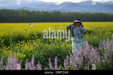 230719 -- ZHAOSU, le 19 juillet 2023 -- Un touriste est vu dans un champ de fleurs de cole et de basilic doux dans le comté de Zhaosu, dans la région autonome ouïgoure du Xinjiang, au nord-ouest de la Chine, le 17 juillet 2023. Avec des ressources touristiques abondantes, le comté de Zhaosu est entré dans la saison touristique de pointe en été. CHINE-XINJIANG-ZHAOSU-SUMMER-TOURISME CN ZHAOXGE PUBLICATIONXNOTXINXCHN Banque D'Images