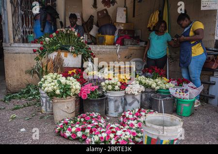 230720 -- NAIROBI, le 20 juillet 2023 -- des vendeurs vendent des fleurs à un marché de Nairobi, au Kenya, le 10 juillet 2023. La Chine a occupé la position de premier partenaire commercial de l Afrique pendant 14 années consécutives. En cours de route, la Chine et l’Afrique font progresser de concert le développement dans le cadre de l’Initiative « la ceinture et la route », ouvrant ainsi de nouvelles voies de coopération. Ces dernières années, l’exportation de fleurs kenyanes vers la Chine a connu une tendance constante à la hausse, propulsée par des facteurs tels que l’établissement de vols directs entre la Chine et l’Afrique et l’optimisation des procédures douanières. CHINE-AFRIQUE-TRANSFRONTALIER Banque D'Images