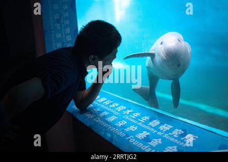 230727 -- WUHAN, le 27 juillet 2023 -- Hao Yujiang, chercheur associé de l'Institut d'hydrobiologie, Académie chinoise des sciences cas, observe un marsouin Yangtsé sans ailettes à la Maison des dauphins de Baiji sous son institut à Wuhan, dans la province du Hubei, au centre de la Chine, le 12 juillet 2023. Trois générations de chercheurs à l'Institut d'hydrobiologie, l'Académie chinoise des sciences cas ont passé des décennies à sauver et à soigner des espèces menacées - le dauphin Baiji et le marsouin sans ailettes du Yangtze. Ce dernier est surnommé l'ange souriant du fleuve Yangtsé comme ses lèvres légèrement bouclés ressemblent Banque D'Images