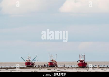 Des bateaux de coquillages échouèrent dans le Wash pour ramasser des coques à marée basse. Les bateaux flottent à marée haute suivante. Banque D'Images