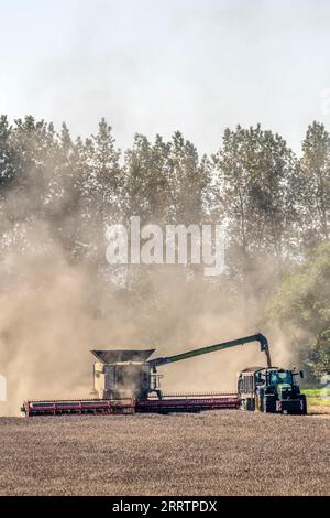 Moissonneuse-batteuse Claas Lexion 8900 travaillant et déchargeant le grain vers un tracteur et une remorque à Norfolk, Royaume-Uni. Banque D'Images