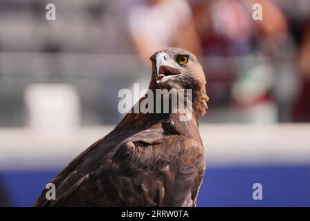 Francfort, Allemagne. 09 septembre 2023. Francfort, Allemagne, le 9 septembre 2023 : Atilla lors du match de football UEFA Womens Champions League entre l'Eintracht Frankfurt et la Juventus Turin au Deutsche Bank Park à Francfort, en Allemagne. (Julia Kneissl/SPP) crédit : SPP Sport Press photo. /Alamy Live News Banque D'Images