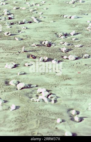 Gros plan de roches de lave sur la plage de l'île de Bali Banque D'Images