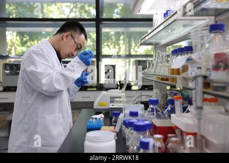 230817 -- TIANJIN, le 17 août 2023 -- le chercheur associé Yang Jiangang réalise une expérience dans un laboratoire de l'Institut de biotechnologie industrielle de Tianjin de l'Académie chinoise des sciences à Tianjin, dans le nord de la Chine, le 13 août 2023. Les scientifiques chinois ont développé une méthode artificielle de synthèse des hexoses à partir de dioxyde de carbone CO2 dans un environnement de laboratoire -- une étape clé dans le développement mondial du sucre synthétique. CHINE-SCIENTIFIQUES-SYNTHÉTISANT HEXOSES À PARTIR DE CO2-RÉALISATION CN JINXLIWANG PUBLICATIONXNOTXINXCHN Banque D'Images