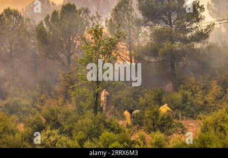 Türkei, Waldbrand BEI Canakkale 230823 -- CANAKKALE, le 23 août 2023 -- des pompiers combattent un incendie de forêt dans la province de Canakkale, au nord-ouest du T¹rkiye, le 22 août 2023. Les pompiers aux premières heures de mercredi continuent de lutter contre les flammes propagées par les vents forts dans la province de Canakkale, dans le nord-ouest du T¹rkiye. L’incendie a commencé vers midi mardi, poussant les responsables à évacuer plusieurs villages et à suspendre le trafic maritime dans les deux sens le long du détroit de Dardanelle. Canakkale Municipalité/document via Xinhua TRKIYE-CANAKKALE-FEU DE FORÊT OmerxKuscu PUBLICATIONxNOTxINxCHN Banque D'Images