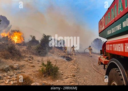 Türkei, Waldbrand BEI Canakkale 230823 -- CANAKKALE, le 23 août 2023 -- des pompiers combattent un incendie de forêt dans la province de Canakkale, au nord-ouest du T¹rkiye, le 22 août 2023. Les pompiers aux premières heures de mercredi continuent de lutter contre les flammes propagées par les vents forts dans la province de Canakkale, dans le nord-ouest du T¹rkiye. L’incendie a commencé vers midi mardi, poussant les responsables à évacuer plusieurs villages et à suspendre le trafic maritime dans les deux sens le long du détroit de Dardanelle. Canakkale Municipalité/document via Xinhua TRKIYE-CANAKKALE-FEU DE FORÊT OmerxKuscu PUBLICATIONxNOTxINxCHN Banque D'Images