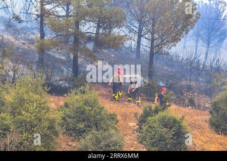 Türkei, Waldbrand BEI Canakkale 230823 -- CANAKKALE, le 23 août 2023 -- des pompiers combattent un incendie de forêt dans la province de Canakkale, au nord-ouest du T¹rkiye, le 22 août 2023. Les pompiers aux premières heures de mercredi continuent de lutter contre les flammes propagées par les vents forts dans la province de Canakkale, dans le nord-ouest du T¹rkiye. L’incendie a commencé vers midi mardi, poussant les responsables à évacuer plusieurs villages et à suspendre le trafic maritime dans les deux sens le long du détroit de Dardanelle. Canakkale Municipalité/document via Xinhua TRKIYE-CANAKKALE-FEU DE FORÊT OmerxKuscu PUBLICATIONxNOTxINxCHN Banque D'Images