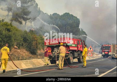 Türkei, Waldbrand BEI Canakkale 230823 -- CANAKKALE, le 23 août 2023 -- des pompiers combattent un incendie de forêt dans la province de Canakkale, au nord-ouest du T¹rkiye, le 22 août 2023. Les pompiers aux premières heures de mercredi continuent de lutter contre les flammes propagées par les vents forts dans la province de Canakkale, dans le nord-ouest du T¹rkiye. L’incendie a commencé vers midi mardi, poussant les responsables à évacuer plusieurs villages et à suspendre le trafic maritime dans les deux sens le long du détroit de Dardanelle. Canakkale Municipalité/document via Xinhua TRKIYE-CANAKKALE-FEU DE FORÊT OmerxKuscu PUBLICATIONxNOTxINxCHN Banque D'Images