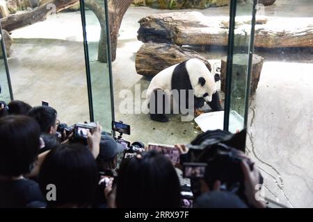 230830 -- TAIPEI, 30 août 2023 -- les gens regardent le panda géant Yuan Yuan profiter d'un repas d'anniversaire au zoo de Taipei à Taipei, dans le sud-est de la Chine Taiwan, le 30 août 2023. Le zoo de Taipei a célébré mercredi le 19e anniversaire de Yuan Yuan, le panda géant féminin offert par le continent chinois à Taïwan. Yuan Yuan et le panda mâle Tuan Tuan arrivent à Taipei en tant que cadeaux de bonne volonté du continent en décembre 2008. Le couple a produit deux descendants femelles, nés respectivement en 2013 et 2020. Tuan Tuan est mort de maladie en novembre de l'année dernière à l'âge de 18 ans. CHINE-TAIPEI-GÉANT PANDA-YUAN YUAN-ANNIVERSAIRE CN WANGXC Banque D'Images