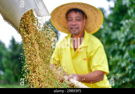 230830 -- CENGONG, 30 août 2023 -- Chen Liangdong charge des graines de riz récoltées sur un camion dans le comté de Cengong de Qiandongnan Miao et la préfecture autonome de Dong, dans le sud-ouest de la province du Guizhou, le 26 août 2023. À l'arrivée de l'automne, les rizières deviennent dorées. Chen Liangdong a invité une équipe de récolte professionnelle de la province du Henan à récolter les semences de riz hybride sur sa ferme. En regardant les abondantes graines de riz, il était ravi. Chen, âgé de 61 ans, est un important producteur de semences de riz hybride dans le comté de Cengong. Il a travaillé comme ouvrier de la construction dans le comté pendant de nombreuses années. En 2012, Chen Banque D'Images