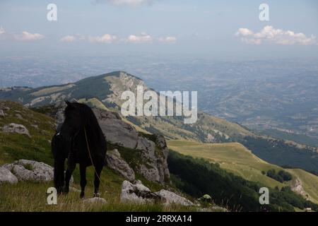 Cheval à Prati di Tivo Italie Banque D'Images