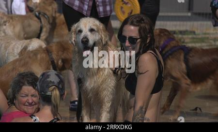 Capture d'écran tirée d'une vidéo de PA montrant des personnes qui assistent aux événements de natation pour chiens « Dogtember » au Saltdean Lido à Brighton. Date de la photo : Samedi 9 septembre 2023. Banque D'Images