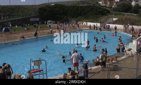 Capture d'écran tirée d'une vidéo de PA montrant des personnes qui assistent aux événements de natation pour chiens « Dogtember » au Saltdean Lido à Brighton. Date de la photo : Samedi 9 septembre 2023. Banque D'Images