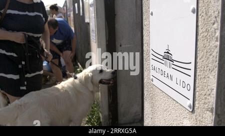 Capture d'écran tirée de la vidéo de PA d'un Golden retriever profitant des événements de natation pour chiens « Dogtember » au Saltdean Lido à Brighton. Date de la photo : Samedi 9 septembre 2023. Banque D'Images