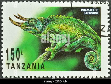 Timbre-poste annulé imprimé par la Tanzanie, qui montre le caméléon de Jackson (Chamaeleo jacksonii), vers 1993. Banque D'Images