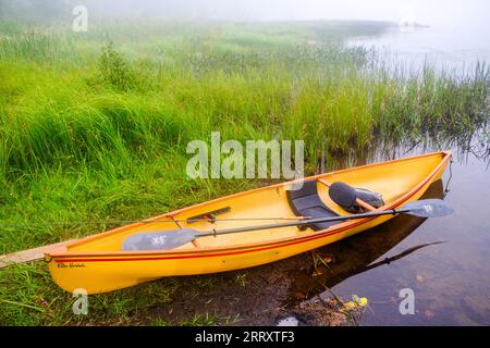 Scène de lac Adirondack Misty pendant le canoë dans les montagnes Adirondack de l'État de New York, États-Unis, Essex Chain Lakes près de Newcomb, NY, États-Unis. Banque D'Images