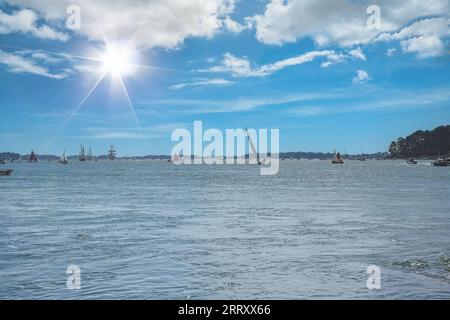 Vieux voiliers à l'Ile-aux-Moines, magnifique paysage marin dans le golfe du Morbihan, Bretagne Banque D'Images