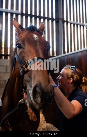 Malpas, Cheshire, Royaume-Uni, samedi 9 septembre 2023. La National Racehorse week 2023 (NRW) débute le samedi 9 septembre 2023 à Stockton Hall, Malpas, Cheshire, le domicile d'Oliver Greenall et Josh Guerriero. Crédit JTW Equine Images / Alamy Live News Banque D'Images