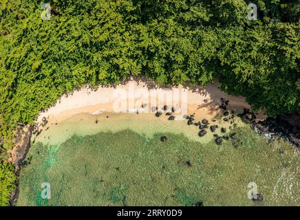 Vue aérienne de haut en bas de la petite plage de sable de Sealodge à Princeville sur la côte nord de l'île hawaïenne de Kauai Banque D'Images