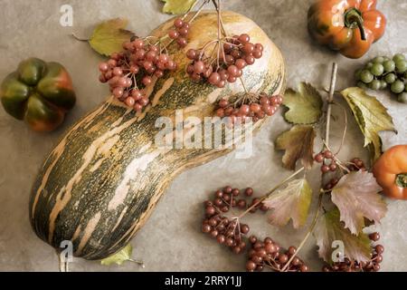 Récolte d'automne. Sur la table se trouve une grande citrouille mûre avec des petits pains de baies de viburnum, des légumes, des fruits. Vue de dessus, gros plan. Banque D'Images
