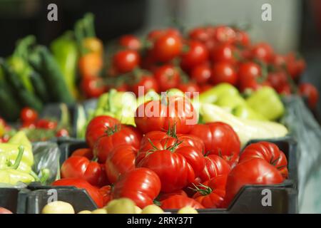 Légumes frais, tomates, concombres, poivrons dans des récipients en plastique au marché fermier de Prague, République tchèque Banque D'Images