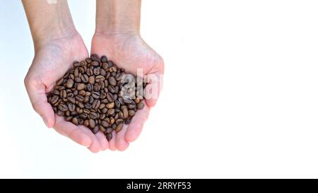 La fille tient des grains de café dans ses mains. Isolé sur fond blanc. Espace négatif pour le texte. Banque D'Images