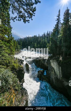 Les chutes Sunwapta, Jasper National Park, Alberta, Canada Banque D'Images