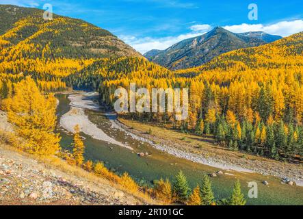 Couleurs d'automne le long de la rivière Middle fork sur la frontière du parc national des Glaciers, à Essex, Montana Banque D'Images