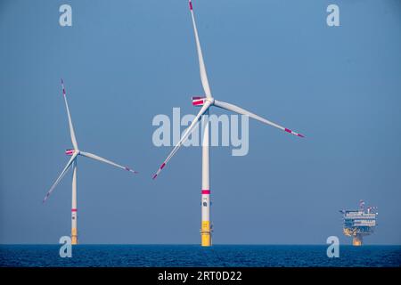 09 septembre 2023, Mecklembourg-Poméranie occidentale, Sassnitz : des éoliennes offshore sont installées dans le parc éolien Arcadis Ost 1 au large de l'île de Rügen, en mer Baltique. Selon la Offshore Wind Energy Foundation, 1,3 gigawatts de capacité sont actuellement installés dans la mer Baltique allemande (7,1 en mer du Nord). Selon cela, cinq parcs éoliens alimentent le réseau en totalité ou en partie. Au large de l’île de Rügen, le parc éolien Arcadis Ost 1 de l’entreprise énergétique belge Parkwinds fournit la première électricité depuis le début de l’année. Le parc éolien de 257 mégawatts est sche Banque D'Images