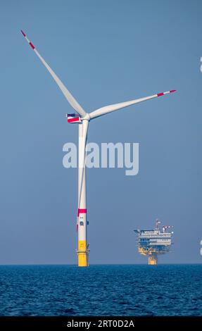 09 septembre 2023, Mecklembourg-Poméranie occidentale, Sassnitz : des éoliennes offshore sont installées dans le parc éolien Arcadis Ost 1 au large de l'île de Rügen, en mer Baltique. Selon la Offshore Wind Energy Foundation, 1,3 gigawatts de capacité sont actuellement installés dans la mer Baltique allemande (7,1 en mer du Nord). Selon cela, cinq parcs éoliens alimentent le réseau en totalité ou en partie. Au large de l’île de Rügen, le parc éolien Arcadis Ost 1 de l’entreprise énergétique belge Parkwinds fournit la première électricité depuis le début de l’année. Le parc éolien de 257 mégawatts est sche Banque D'Images