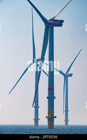 09 septembre 2023, Mecklembourg-Poméranie occidentale, Sassnitz : des éoliennes offshore sont installées dans le parc éolien Arcadis Ost 1 au large de l'île de Rügen, en mer Baltique. Selon la Offshore Wind Energy Foundation, 1,3 gigawatts de capacité sont actuellement installés dans la mer Baltique allemande (7,1 en mer du Nord). Selon cela, cinq parcs éoliens alimentent le réseau en totalité ou en partie. Au large de l’île de Rügen, le parc éolien Arcadis Ost 1 de l’entreprise énergétique belge Parkwinds fournit la première électricité depuis le début de l’année. Le parc éolien de 257 mégawatts est sche Banque D'Images