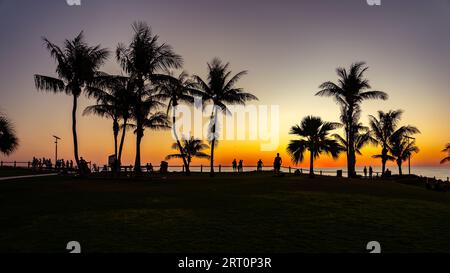 Silhouette de palmiers au coucher du soleil à Cable Beach à Broome, Australie occidentale Banque D'Images