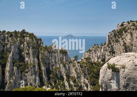 les calanques (france) avec leurs rochers impressionnants, leurs plantes et leur eau cristalline Banque D'Images