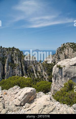 les calanques (france) avec leurs rochers impressionnants, leurs plantes et leur eau cristalline Banque D'Images