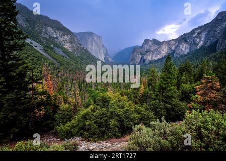 Le célèbre tunnel View du parc national de Yosemite - Californie, États-Unis Banque D'Images