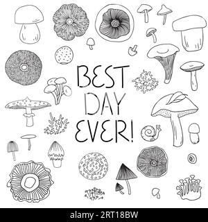 Meilleur jour jamais dessiné à la main lettrage et ensemble de champignons. Noir et blanc. Illustration de Vecteur