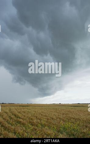 Système de tempête de temps violent en Alberta, Canada. Banque D'Images