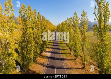 L'emblématique Gould Memorial Drive aux couleurs automnales sur le chemin Buxton-Marysville près de la ville de Marysville à Victoria, en Australie Banque D'Images