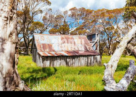 La hutte historique Wallace, qui est la plus ancienne cabane d'éleveurs de bétail restante près de Falls Creek dans les Alpes victoriennes, en Australie Banque D'Images