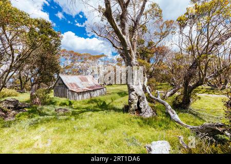 La hutte historique Wallace, qui est la plus ancienne cabane d'éleveurs de bétail restante près de Falls Creek dans les Alpes victoriennes, en Australie Banque D'Images