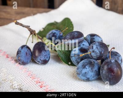 Un gros plan de prunes mûres sur une nappe en lin Banque D'Images
