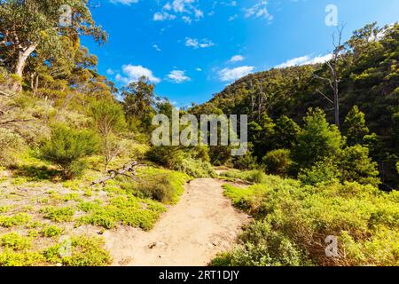 Cadre idyllique autour de Lerderderg gorge circuit Walk par une chaude journée d'automne dans l'ouest de Melbourne à Victoria, Australie Banque D'Images