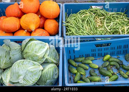 Chou, citrouille et autres légumes dans des boîtes bleues Banque D'Images