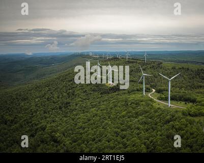 Une scène pittoresque avec un groupe d'éoliennes situé au milieu d'une forêt luxuriante et idyllique le long d'une route courbe Banque D'Images