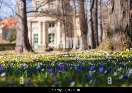 Jardin anglais du parc du palais de Pillnitz avec pavillon Banque D'Images