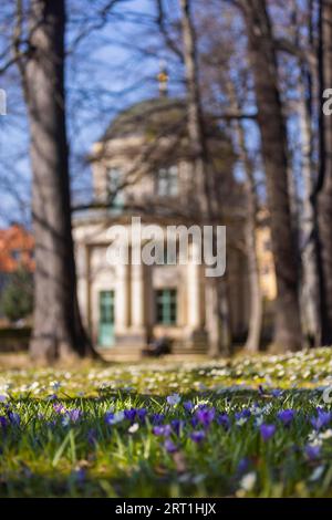 Jardin anglais du parc du palais de Pillnitz avec pavillon Banque D'Images